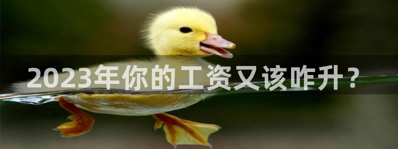 壹号app下载官网娱乐