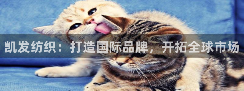 壹号大舞台入口