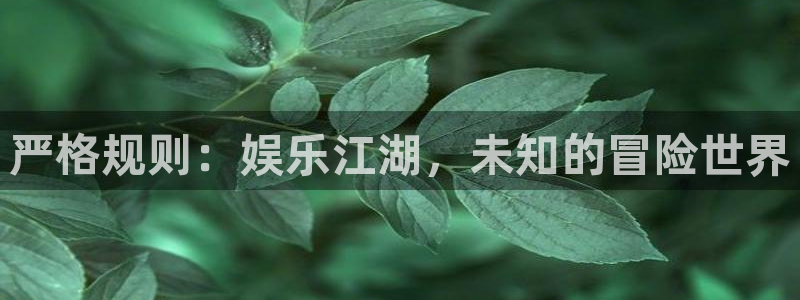 壹号top娱乐