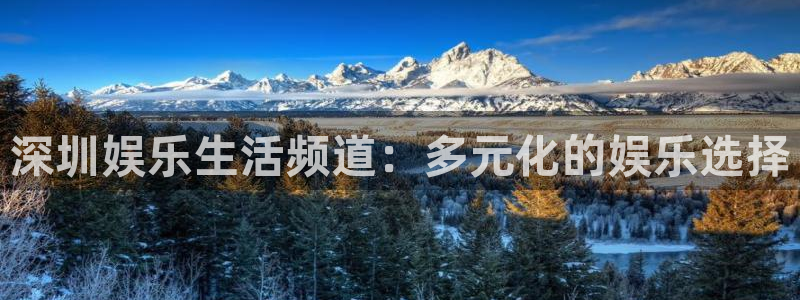 壹号注册入口app下载