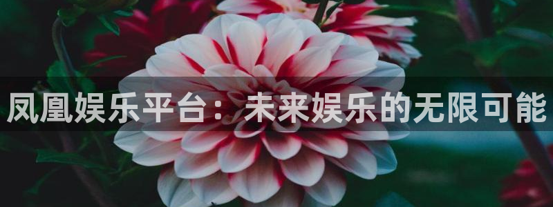 耀世娱乐下载入口