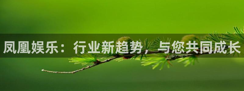 壹号app下载官网娱乐