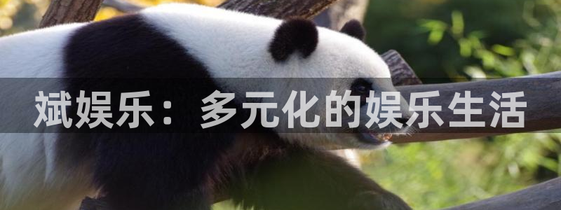 壹号大舞台官网
