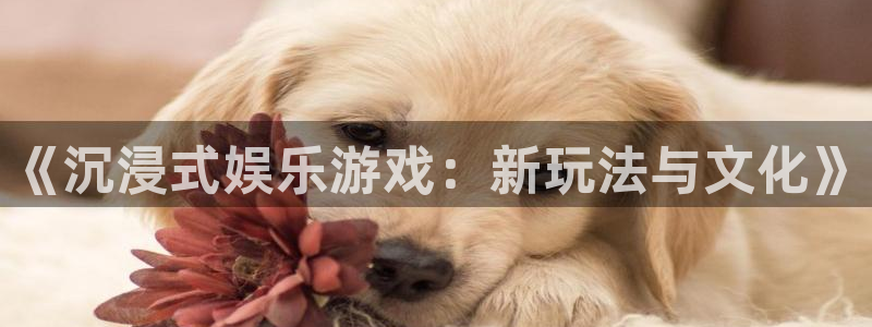 壹号大舞台,有梦你就来