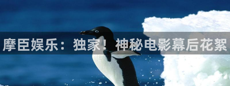 壹号电子娱乐app下载安装