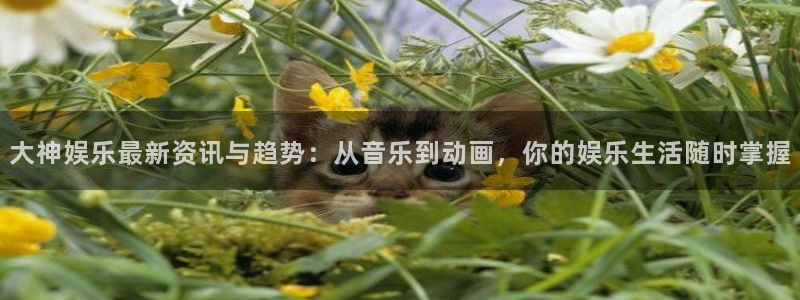 壹号平台下载
