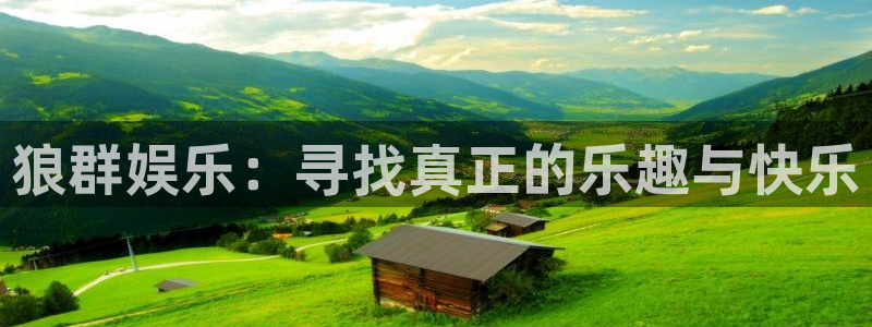 壹号电子娱乐app下载