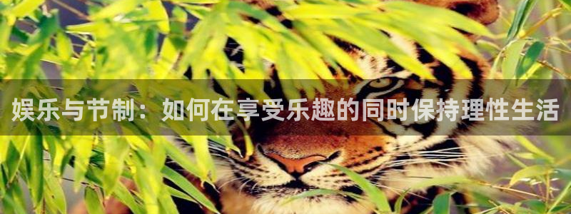 壹号大舞台娱乐app下载安装