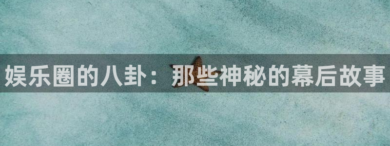 壹号电子娱乐app下载最新版