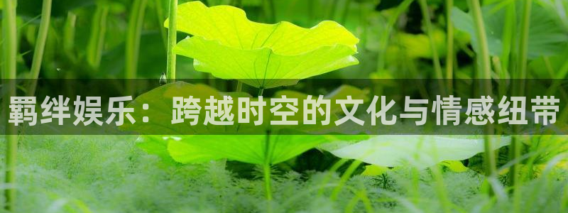 壹号平台注册链接官网下载：羁绊娱乐：跨越时空的文化与情感纽带