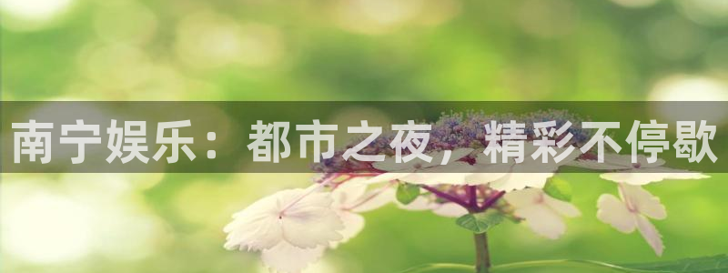 耀世娱乐com：南宁娱乐：都市之夜，精彩不停歇