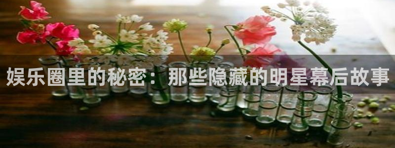 耀世娱乐怎么下载：娱乐圈里的秘密：那些隐藏的明星幕后故事