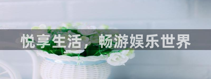 壹号电子娱乐app下载：悦享生活，畅游娱乐世界