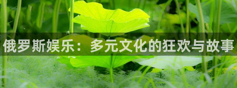 壹号大舞台有梦你就来：俄罗斯娱乐：多元文化的狂欢与故事