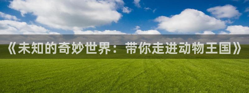 壹号大舞台怎么注册：《未知的奇妙世界：带你走进动物王国》