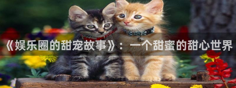 壹号app下载官网娱乐：《娱乐圈的甜宠故事》：一个甜蜜的甜心世界