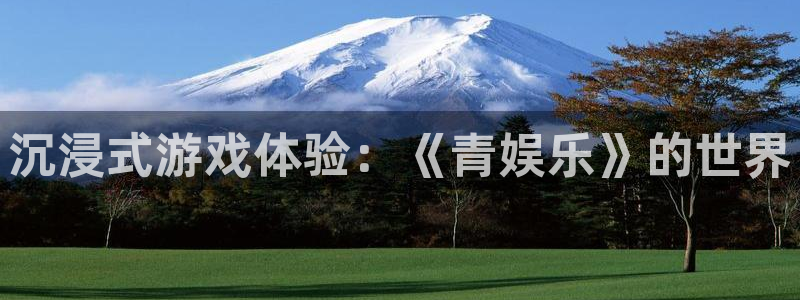 壹号国际app免费下载安装：沉浸式游戏体验：《青娱乐》的世界