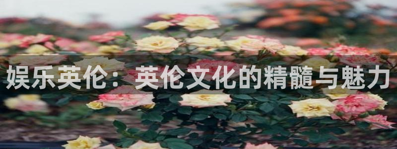 耀世娱乐,apk.：娱乐英伦：英伦文化的精髓与魅力