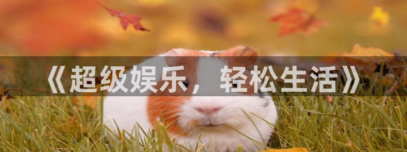 耀世娱乐下载入口：《超级娱乐，轻松生活》