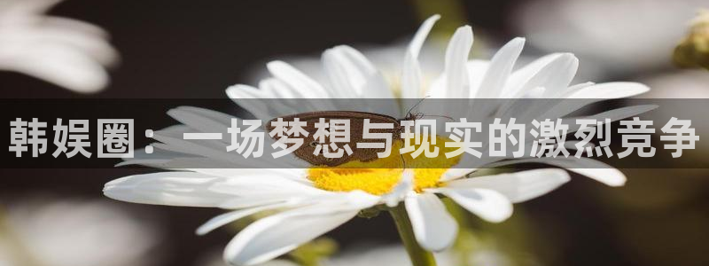 耀世娱乐退款怎么退：韩娱圈：一场梦想与现实的激烈竞争
