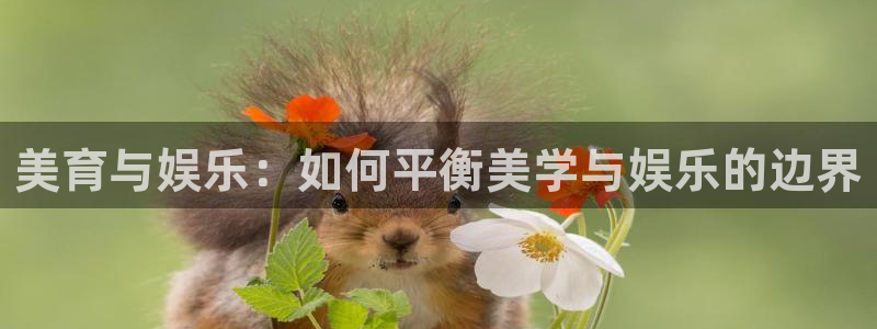 壹号下载官网入口：美育与娱乐：如何平衡美学与娱乐的边界