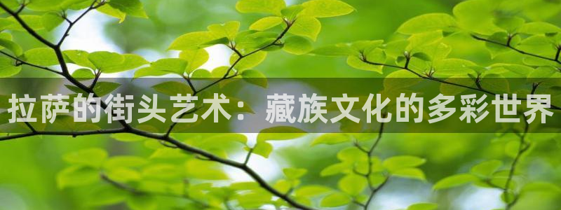 耀世娱乐官网：拉萨的街头艺术：藏族文化的多彩世界