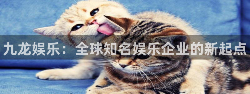 壹号国际app免费下载安装：九龙娱乐：全球知名娱乐企业的新起点