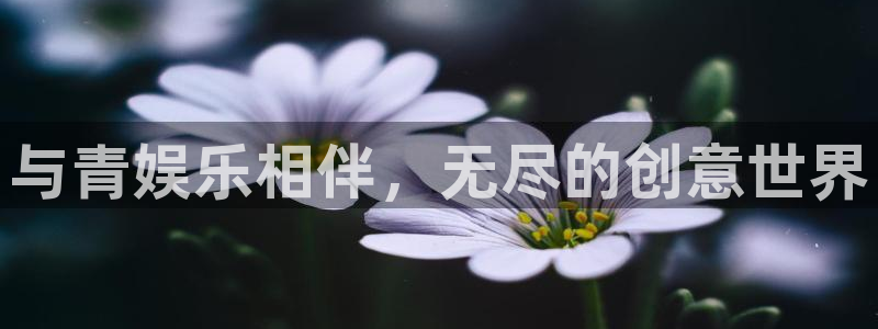 耀世娱乐,apk：与青娱乐相伴，无尽的创意世界