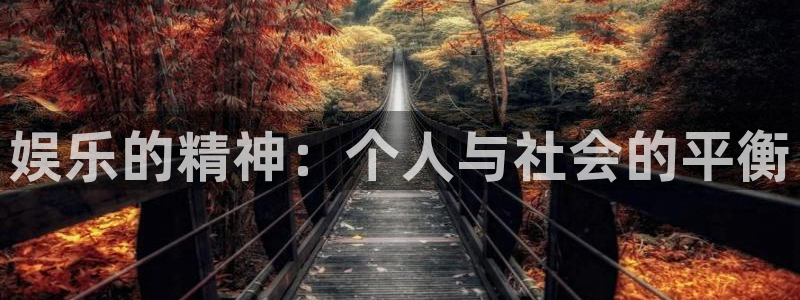 耀世娱乐app最新版怎么下载苹果：娱乐的精神：个人与社会的平衡